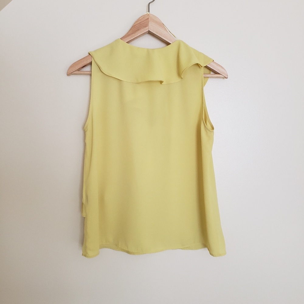 Zara flutter Top V Neck - Picture 4 of 4